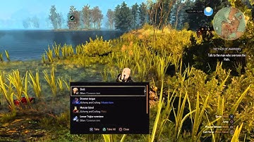 Witcher 3 unlimited money monster nest glitch