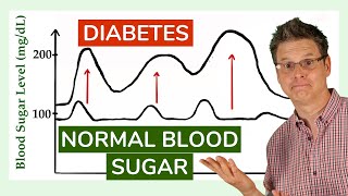 Regulation of Blood Sugar