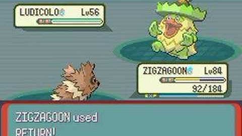 Zigzagoon Only Run: Champion Wallace