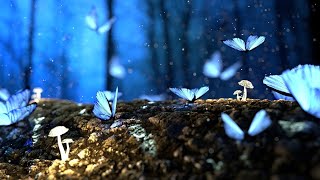 RELAXING MUSIC for Deep Sleep / stress relief / ZEN music  with RAIN SOUND #07