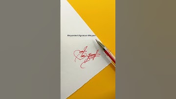 Maryam Signature Design | How To Sign The Letter M #shorts