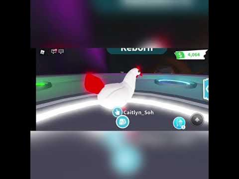 Making Neon Chicken || Adopt Me || Roblox - YouTube