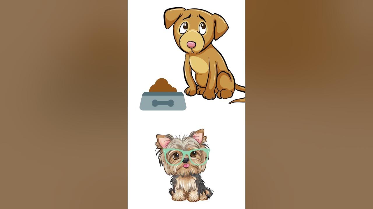what-are-the-signs-of-diabetes-in-dogs-shorts-youtube