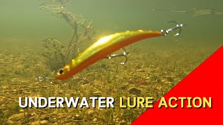 OSP Bent Minnow UNDERWATER VIDEO Lure Action For Fishing 86mm Crystal Gold