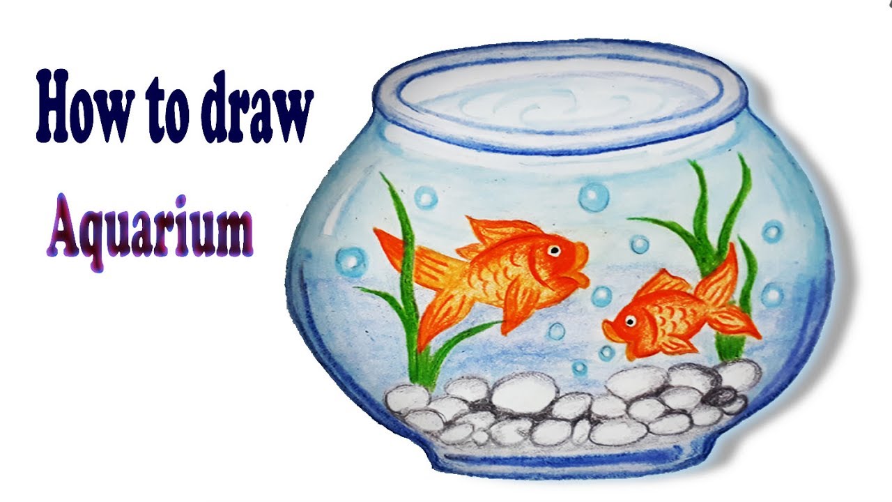 How to Draw a Fish Bowl step by step | Easy Pencil Drawing for Beginners -  YouTube