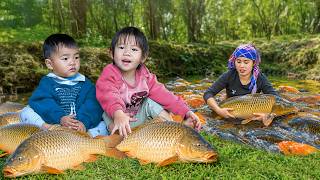 Catching Fish deep in Forest | Unbelievable Giant Fish Harvest at a Mysterious Pond | Village Life