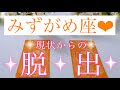 🌸みずがめ座さん🌸あなたが今いる現状からの脱出🌸【大丈夫💖あなたの人生はもっと素晴らしい世界に進んでいきます🥰】🌸💖【見たときがタイミング🥰】💖無料タロット💖オラクルカードリーディング💌12星座別💌