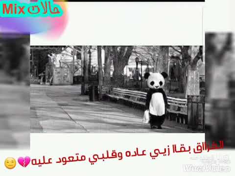 حالات واتساب ناس كتير كانو ف حياتي حماده هلال