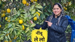 पुराने वाले घर से कभी खाली हाथ नहीं जाते || Pahadi Lifestyle Vlog || Priyanka Yogi Tiwari ||