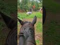 RIDE WITH ME  - 2020 Property Tour on Horseback