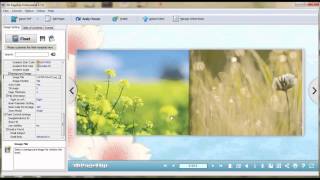 Flexible Output  Formats of 3D PageFlip Professional