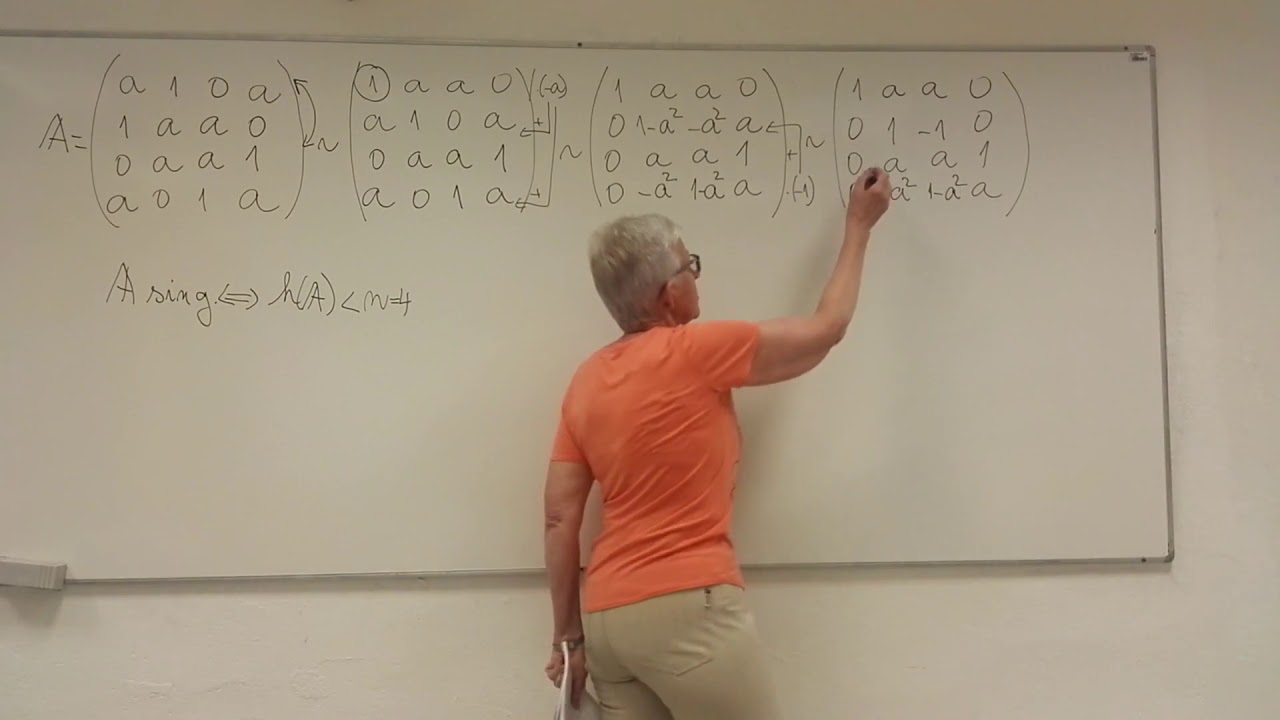 05 Pojem singulárna matica