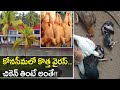New Virus creates panic in Andhra Pradesh