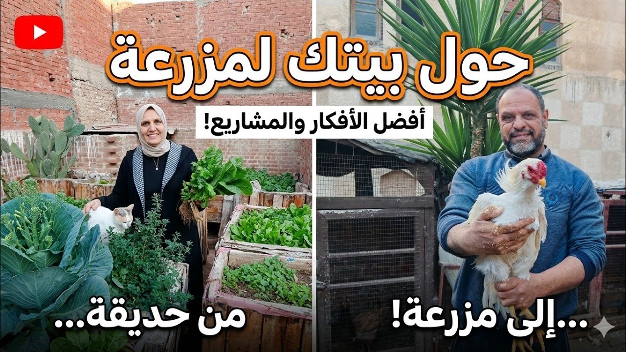 روتين رمضانى متنوع