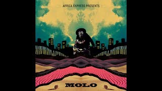 Africa Express presents MOLO