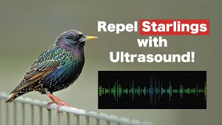 Repel starlings with Ultrasound | For your quiet life screenshot 4