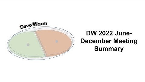 DevoWorm AI Summary 2022.2 (Decoding Development)