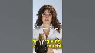 Determine Approaches Systematically From Scratch