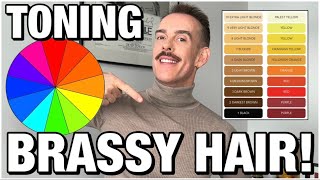EVERYTHING you need to know to tone BRASSY hair! HUGE hair color share, easy to follow (hairstylist)