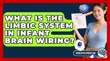 What Is The Limbic System In Infant Brain Wiring? - Brain Development Hub