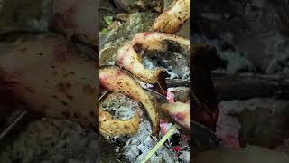 Delicious Fish Kebab In The Forest