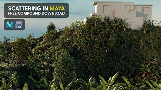 Famous Scattering made easy in Maya | Free download Net Worth
