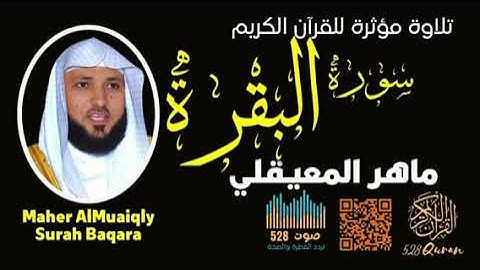 سورة البقرة بصوت القارئ الشيخ ماهر المعيقلي 528