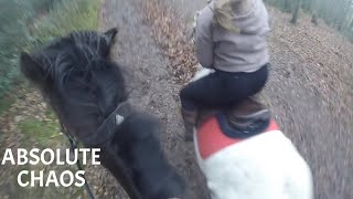 BOXING DAY HACK || stupid cars, bolshy bea & more || hacking with bea and oakley || gopro