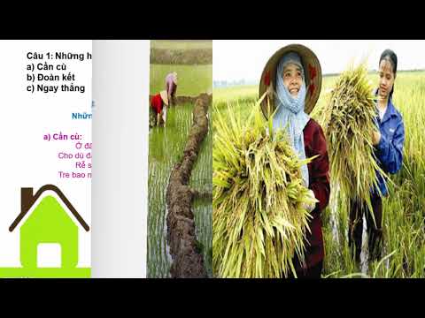 TUẦN 4 - TV 4 - Tập đọc t2 Tre Việt Nam