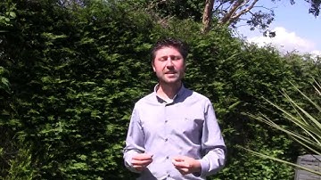 NLP Technique for Confidence