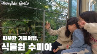 경기도 부천식물원 수피아 I 겨울에 따뜻한  실내 여행! I 아이와함께 식물찾기