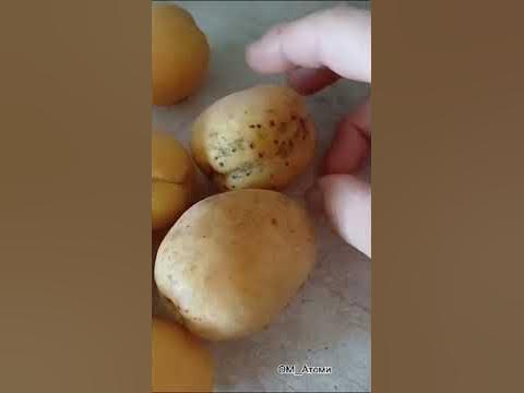 Эко-средство для мытья посуды Атоми. - YouTube