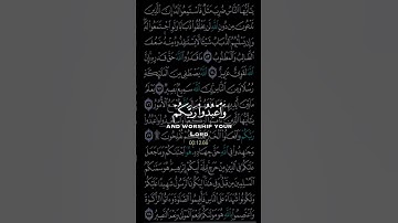 استمع لآية الركوع والخشوع بصوت عذب | سورة الحج 77 بصوت عبد الرحمن مسعد#سورة_الحج #عبدالرحمن_مسعد