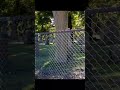 Grave Yard Canada