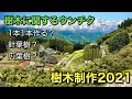 【鉄道模型】樹木に対する考え方【樹木制作2021】