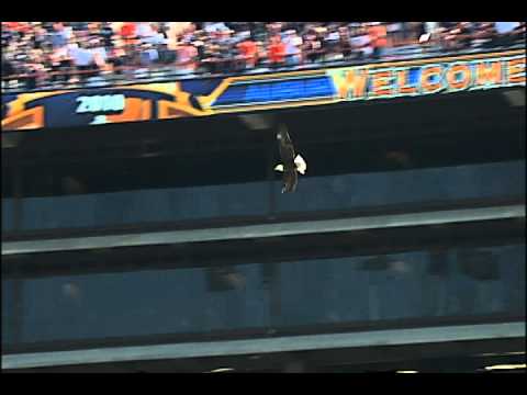 Auburn eagle "Spirit" crashes into luxury box window in pregame flight