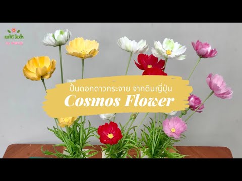 ปั้นดอกคอสมอส ดอกดาวกระจาย จากดินญี่ปุ่น Cosmos Flower | Japanese Clay | ยายกาญสารพัดนึก