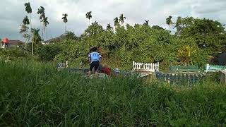 Anak Bungul Episode 1