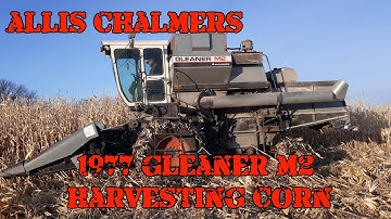 Allis Chalmers Show: Classic 1977 Gleaner M2 Combine Harvesting Corn