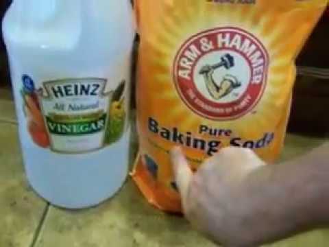 How To Clean Pet Urine On Tile And, How To Get Cat Urine Smell Out Of Vinyl Floor