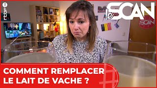 Lait d'amande vs lait de soja