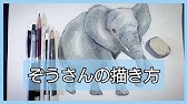 Elephant How To Draw Pen And Colored Pencil Pictures Easy Illustration Youtube