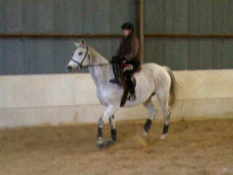 Sian's Side Saddle Lesson - Pittern Hil Stables