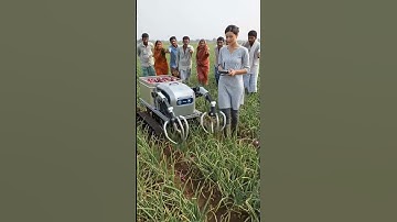 Accurate harvesting process of red onions in the field with the robot