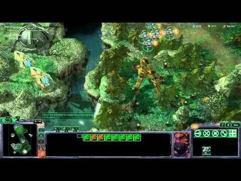 Starcraft 2: Wings of Liberty - Safe Haven