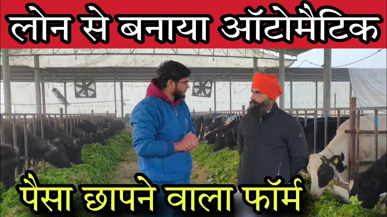 पंजाब का इकलौता गाय भैंसों का Automatic Dairy Farm 🐄 करोड़ों के लोन से करोड़ों का टर्नओवर 🔥