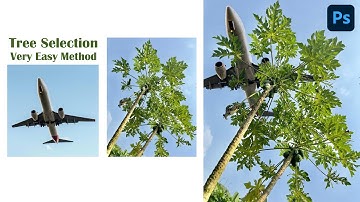 Select Trees using Channels in Adobe Photoshop - Urdu / Hindi | Tree selection in adobe photoshop