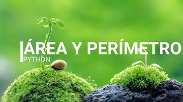 ÁREA Y PERÍMETRO - PYTHON - Explicado