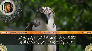 ما تيسر من سورة الرعد (1) محمد عبدالباعث الفقى