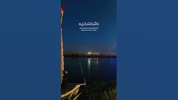 تلاوة نادرة من سورة الفجر بصوت الشيخ محمد احمد #quran #تلاوة_خاشعة #تلاوة_نادرة #الشيخ_محمد_احمد_حسن